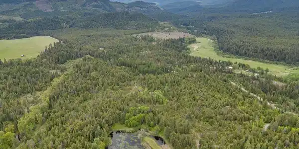 Image 4 Image 4