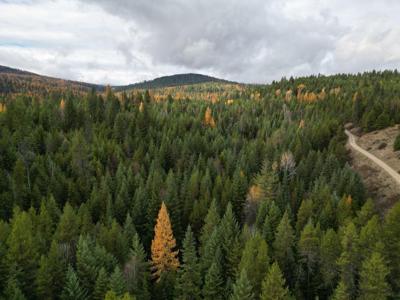 TBD Schlegel Ranch Rd