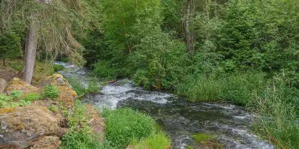 Image 2 Image 2