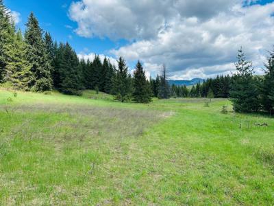 3841 Deep Lake Boundary Rd