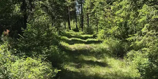 Image 3 Image 3