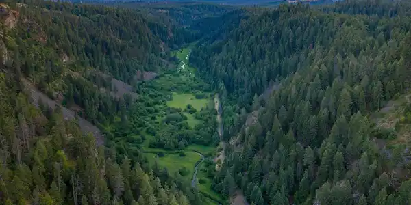 Image 4 Image 4