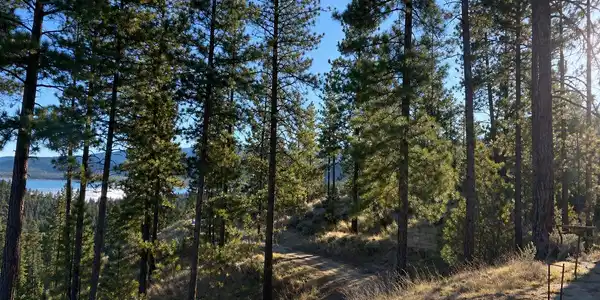 Image 4 Image 4
