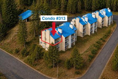 28600 N Mt Spokane Park Dr