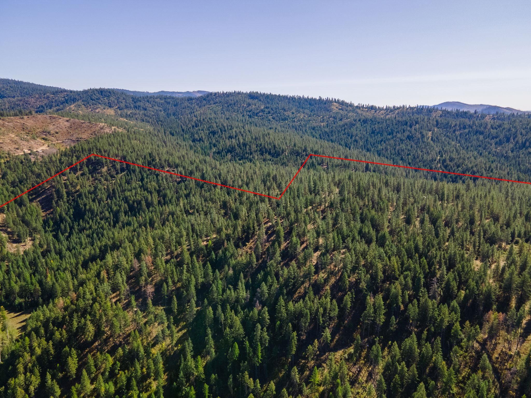 Image 4 Image 4
