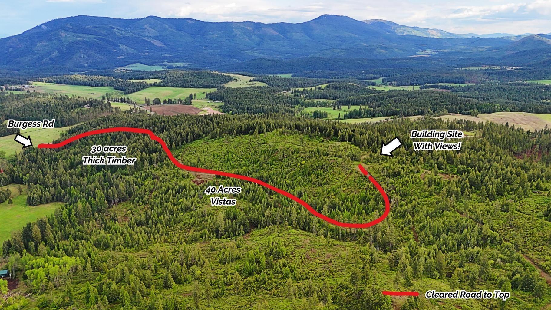 Image 3 Image 3