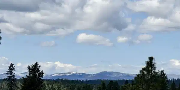 Image 2 Image 2