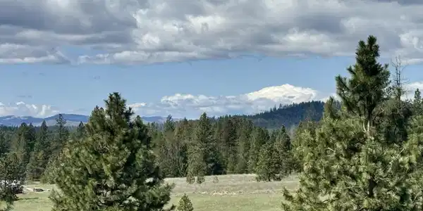 Image 3 Image 3