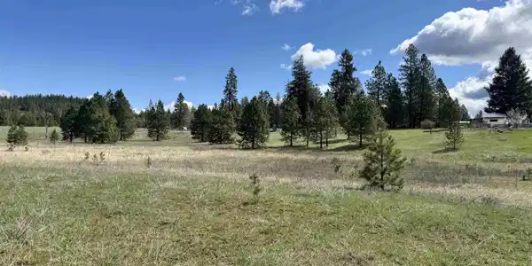 Image 4 Image 4