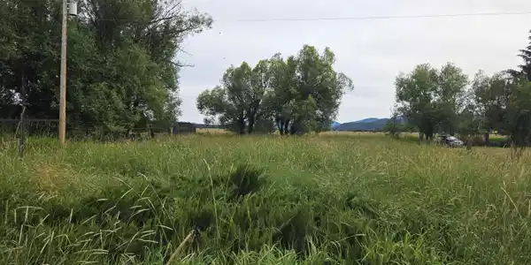 Image 2 Image 2