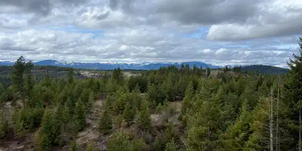 Image 4 Image 4