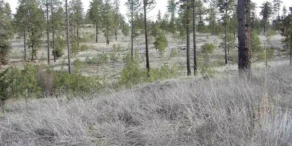 Lot 2 Pine Hen Ln
