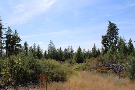 xxx Ellery Ranch Rd