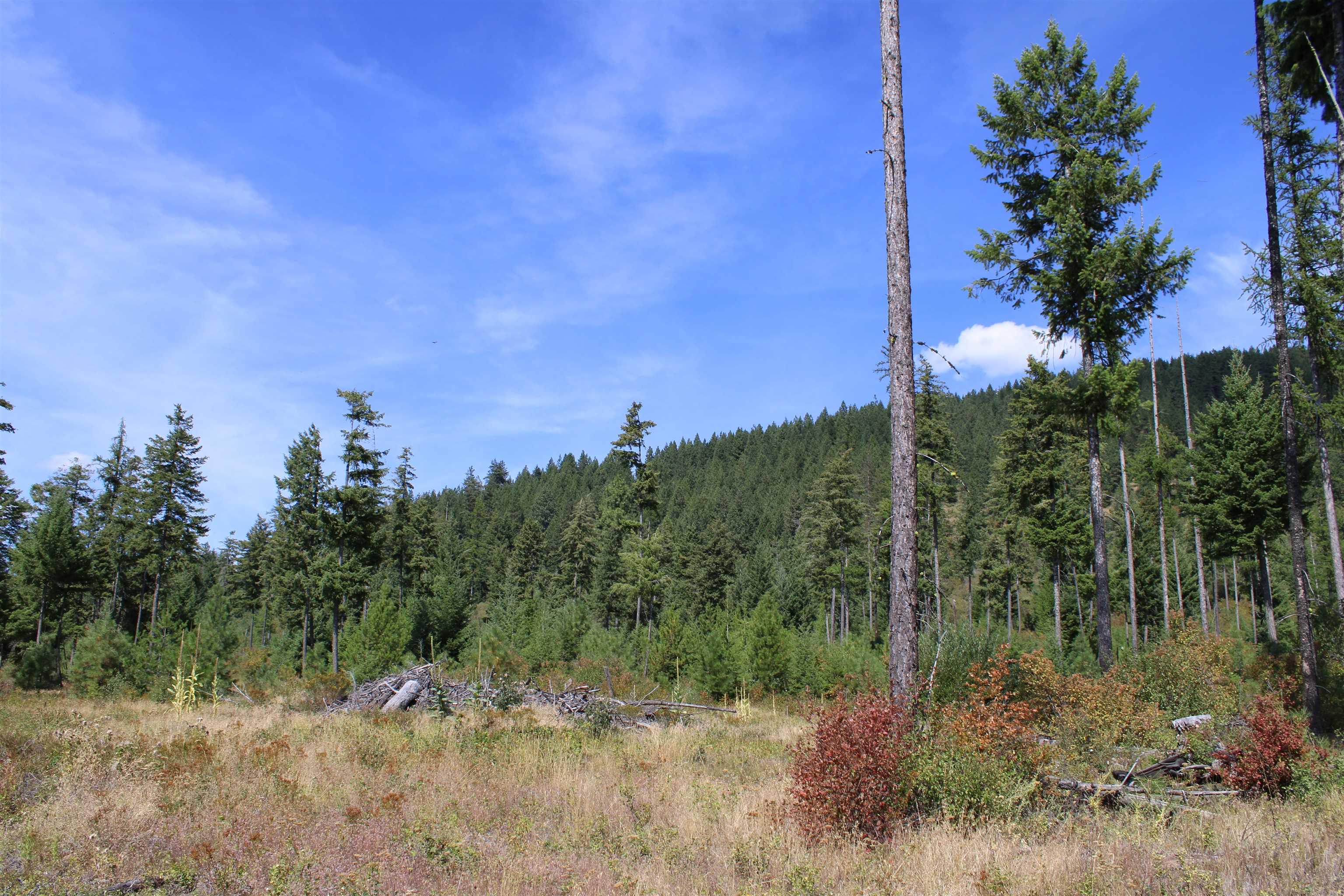 Image 4 Image 4