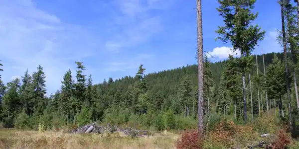 Image 4 Image 4