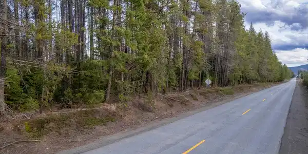 Image 2 Image 2