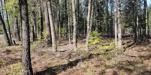 Image 4 Image 4