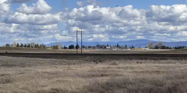 Image 3 Image 3