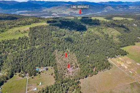11XX Williams Lake Rd