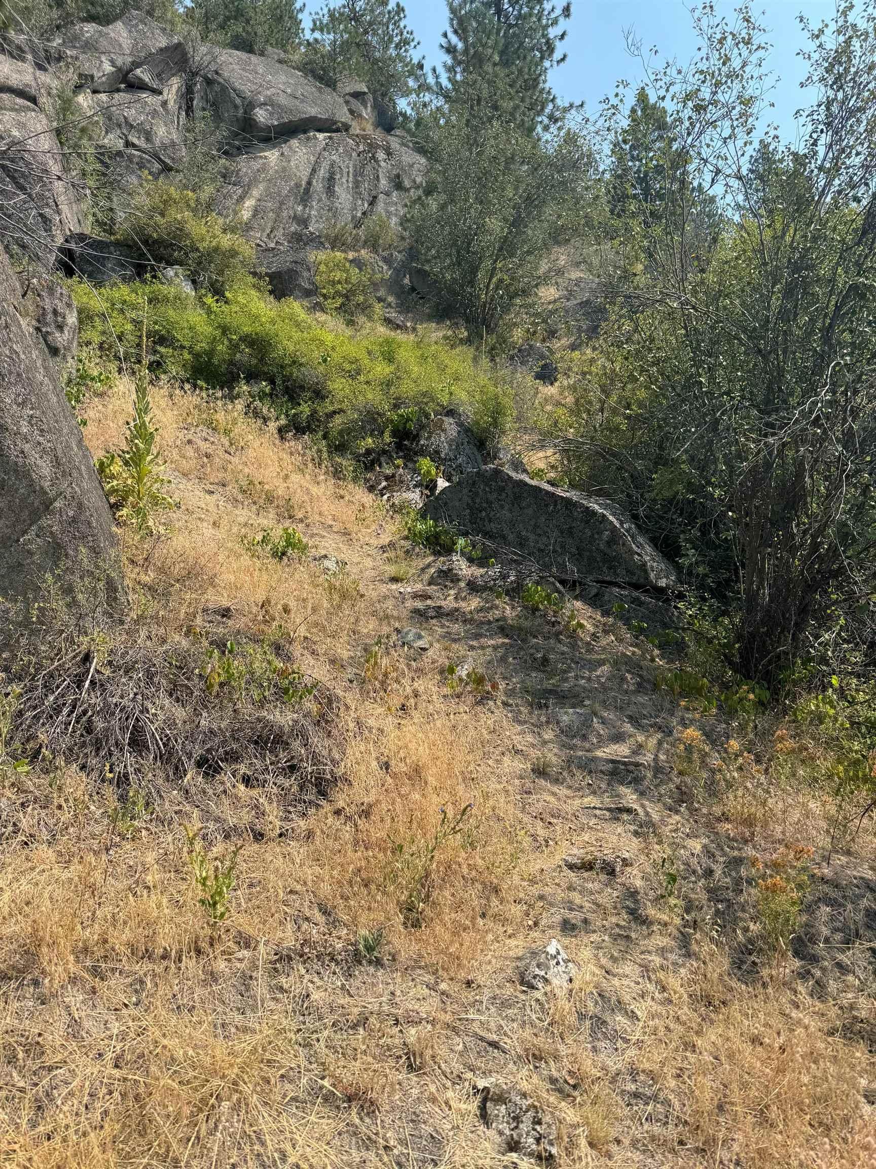 Image 3 Image 3