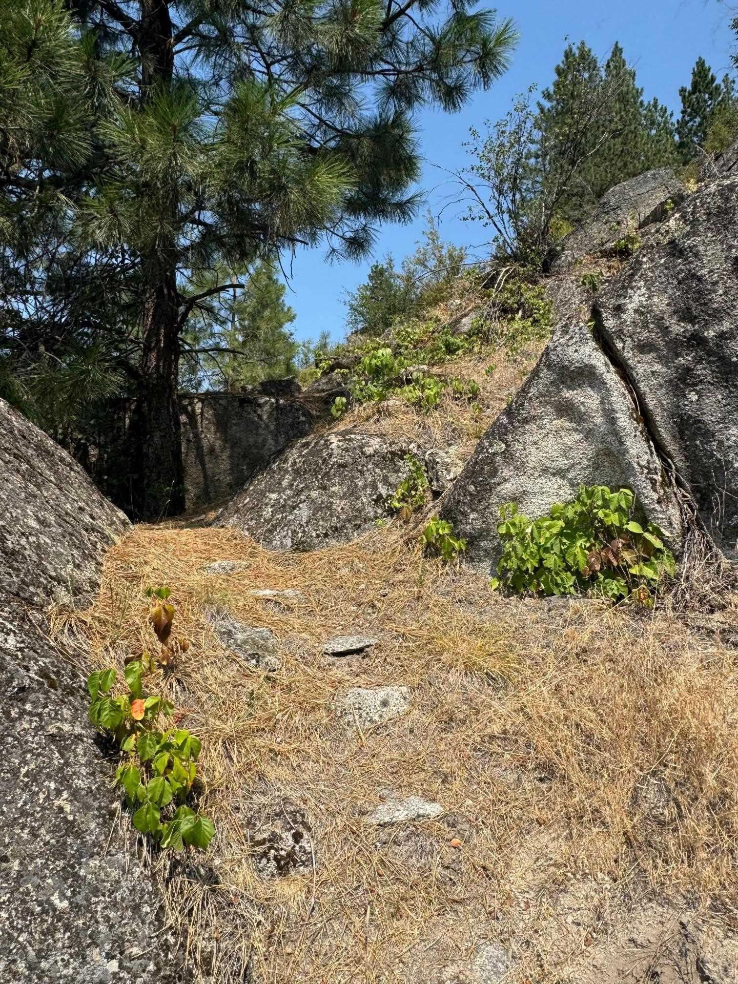 Image 4 Image 4
