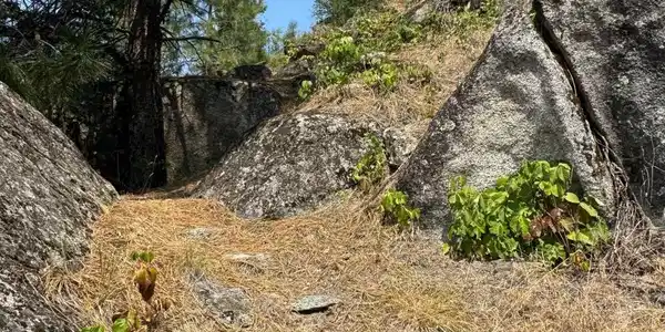 Image 4 Image 4