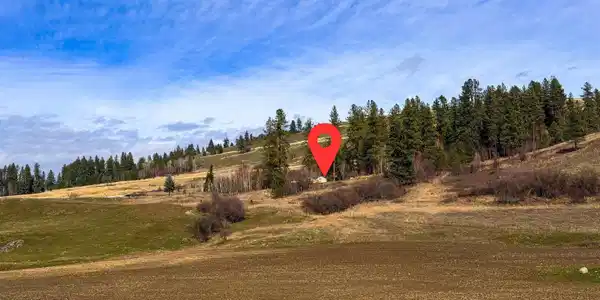 Image 4 Image 4