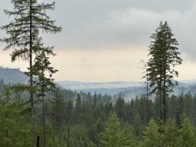 Image 3 Image 3