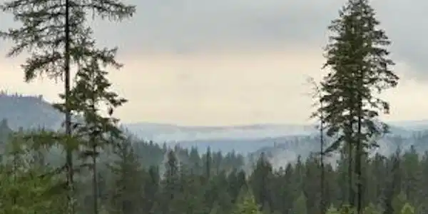 Image 3 Image 3
