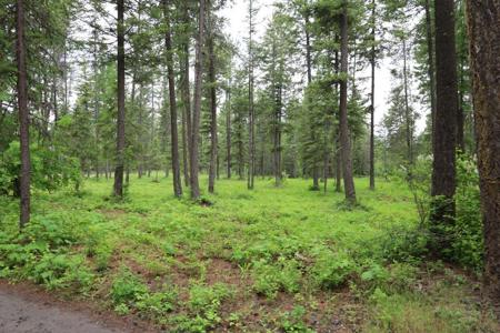 2559 TBD United Copper Mine Rd