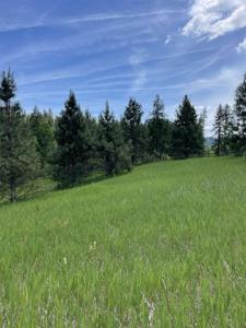 4435 Whittier (Lot 3) Rd