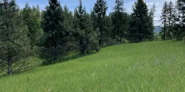 4435 Whittier (Lot 3) Rd