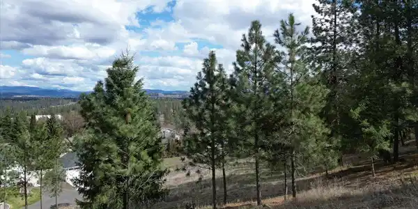 1411 W Toni Rae Dr