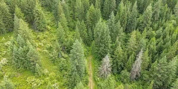 Image 4 Image 4