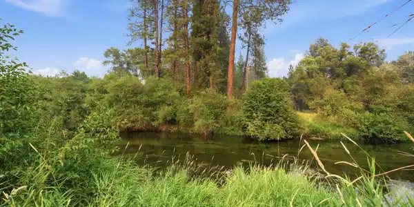 Image 4 Image 4