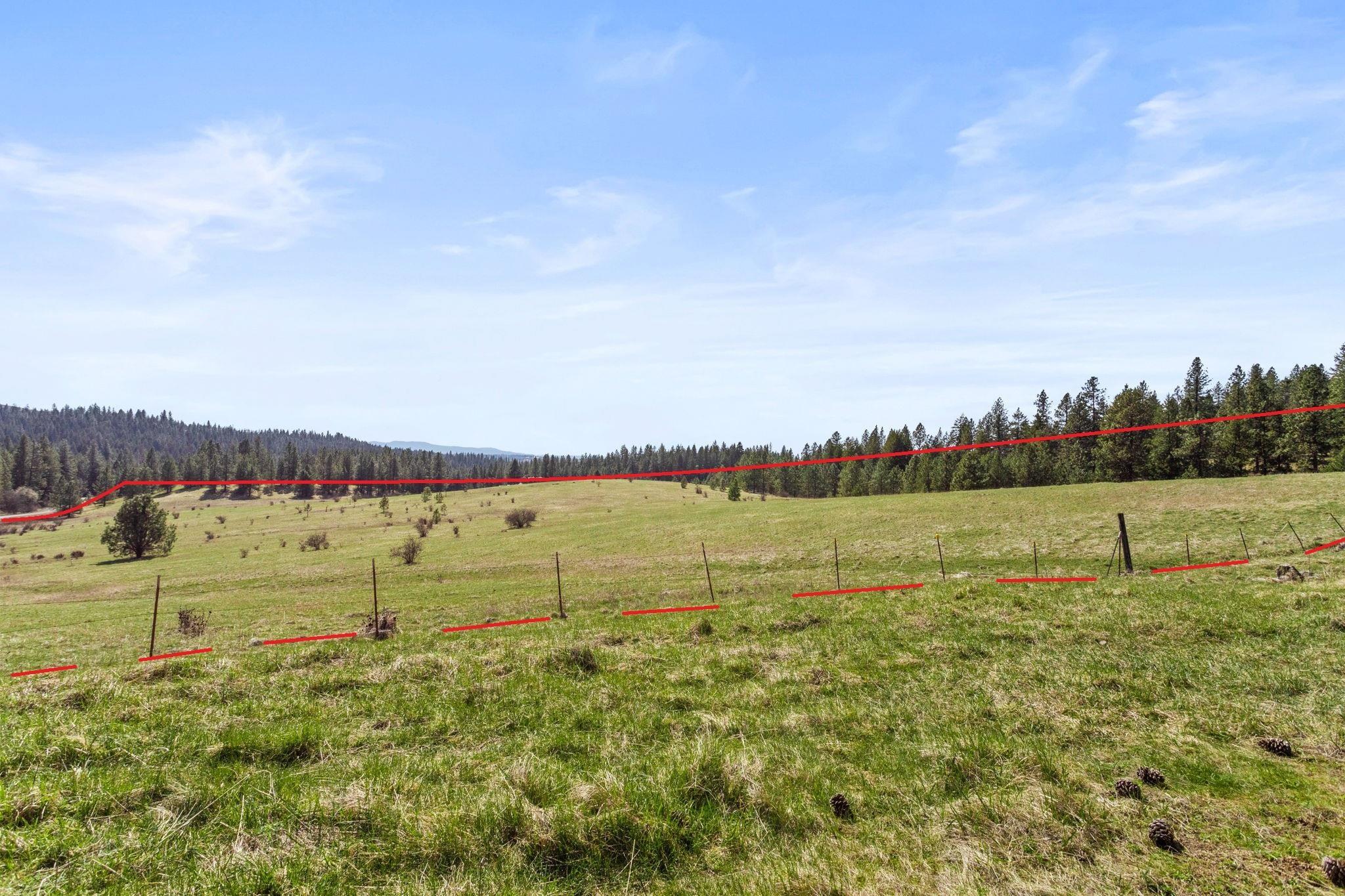 Image 4 Image 4