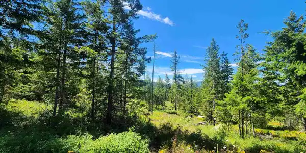 Image 4 Image 4