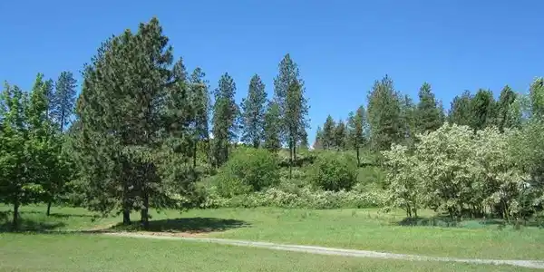 Image 2 Image 2