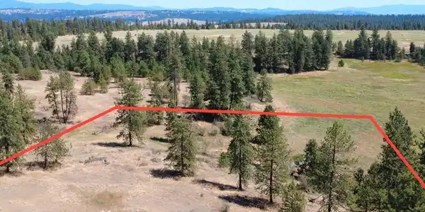 Image 4 Image 4