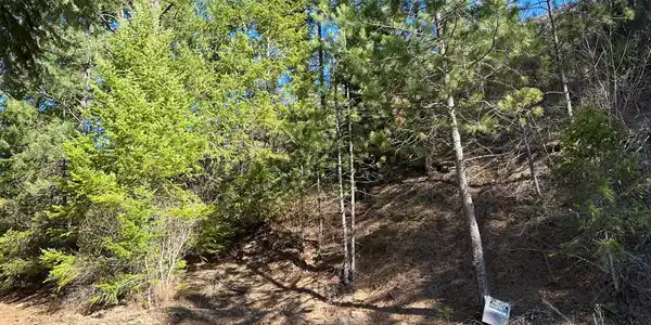 Image 3 Image 3