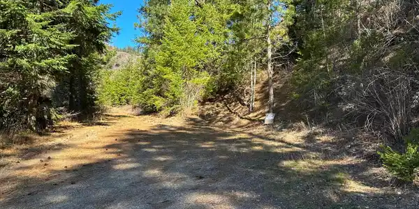 Image 4 Image 4