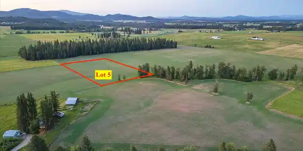 Image 2 Image 2