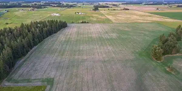 Image 3 Image 3