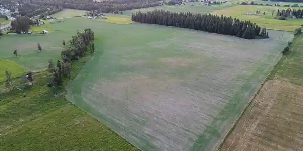 Image 4 Image 4