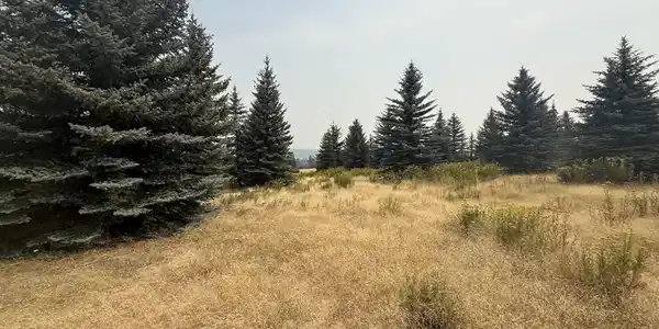 Image 4 Image 4
