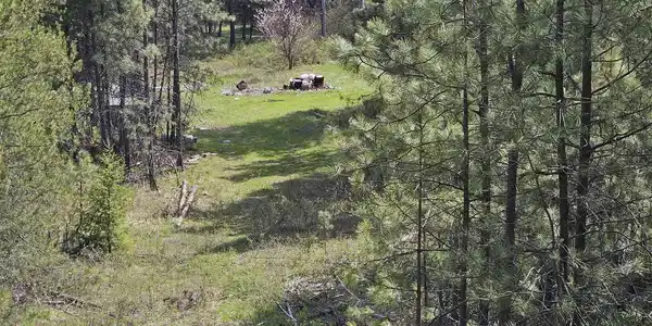 Image 4 Image 4