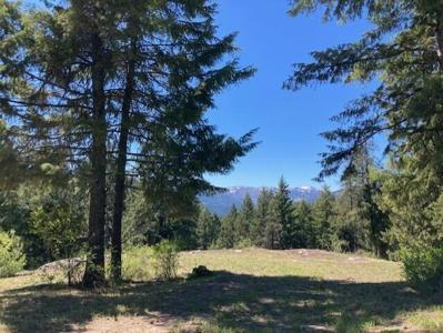 161 Jacknife Lookout Rd