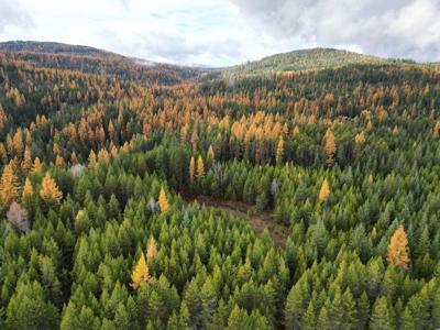 TBD Schlegel Ranch Lot 11 Rd