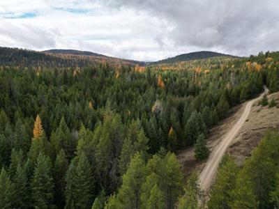 TBD Schlegel Ranch Lot 12 Rd