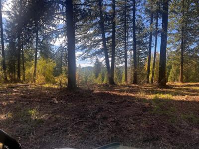 XXX Horseshoe Lake Rd